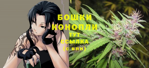 ПСИЛОЦИБИНОВЫЕ ГРИБЫ Ельня