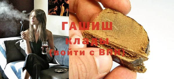 хмурый Алексин