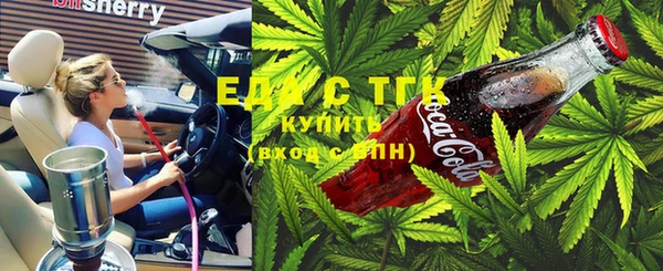 хмурый Алексин