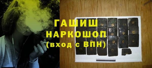 хмурый Алексин